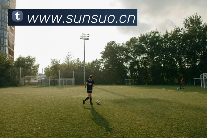 星空体育中国官方网站APP 封面图